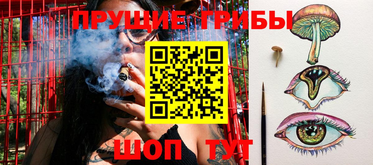 Галлюциногенные грибы Psilocybe Зерноград